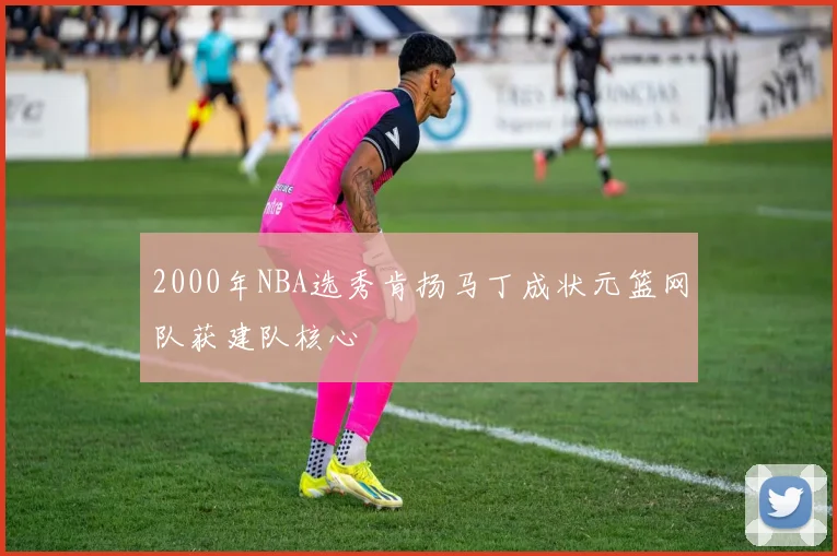 2000年NBA选秀肯扬马丁成状元篮网队获建队核心